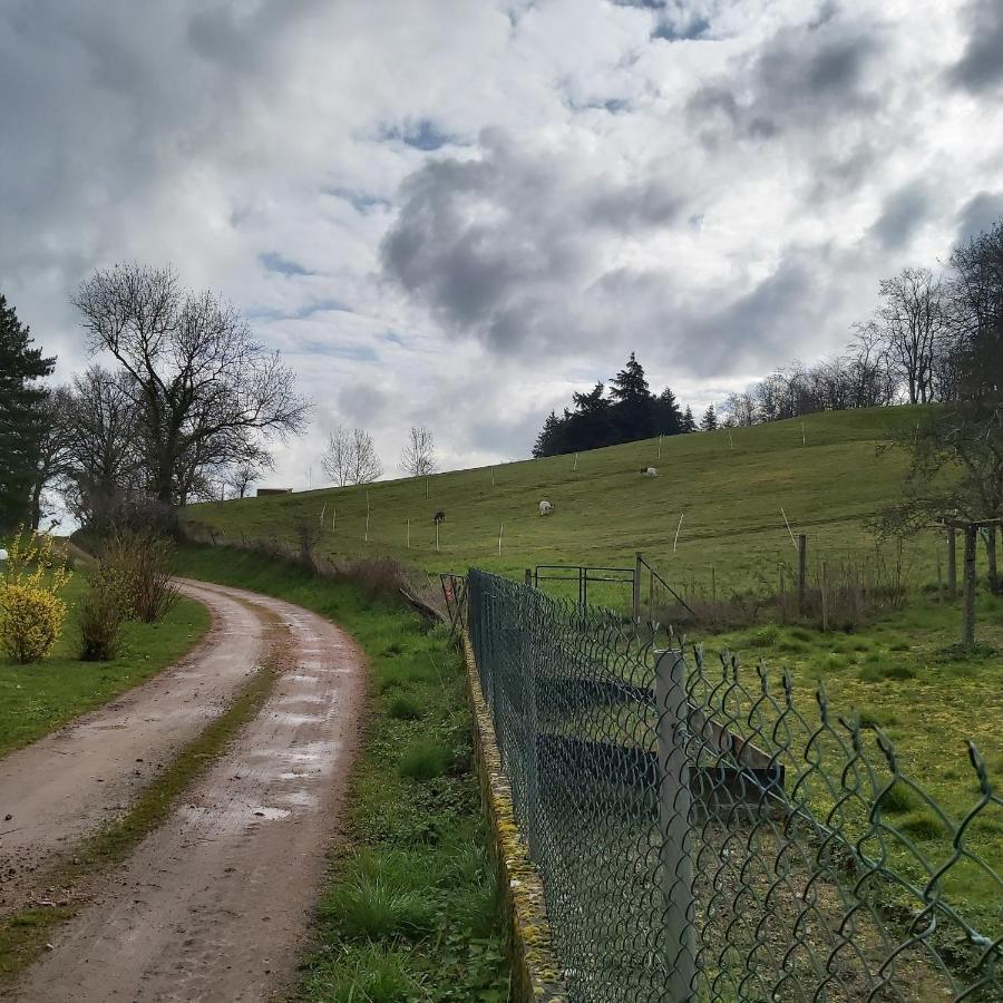 ホテル Au Pays D'Angeline La Pacaudière エクステリア 写真