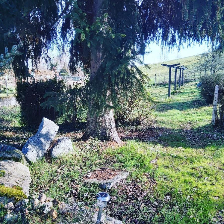 ホテル Au Pays D'Angeline La Pacaudière エクステリア 写真