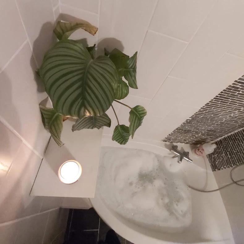 ホテル Au Pays D'Angeline La Pacaudière 部屋 写真